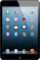 iPad mini 1