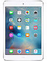 iPad mini 2