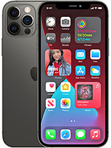 12 Pro