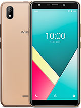 Y 61